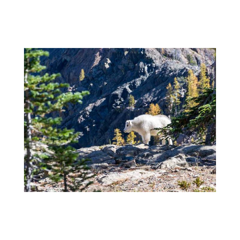 Sleek Aluminum Computer fr-FR